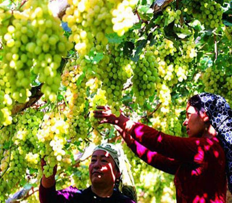 Northern Xinjiang road 19 days tour