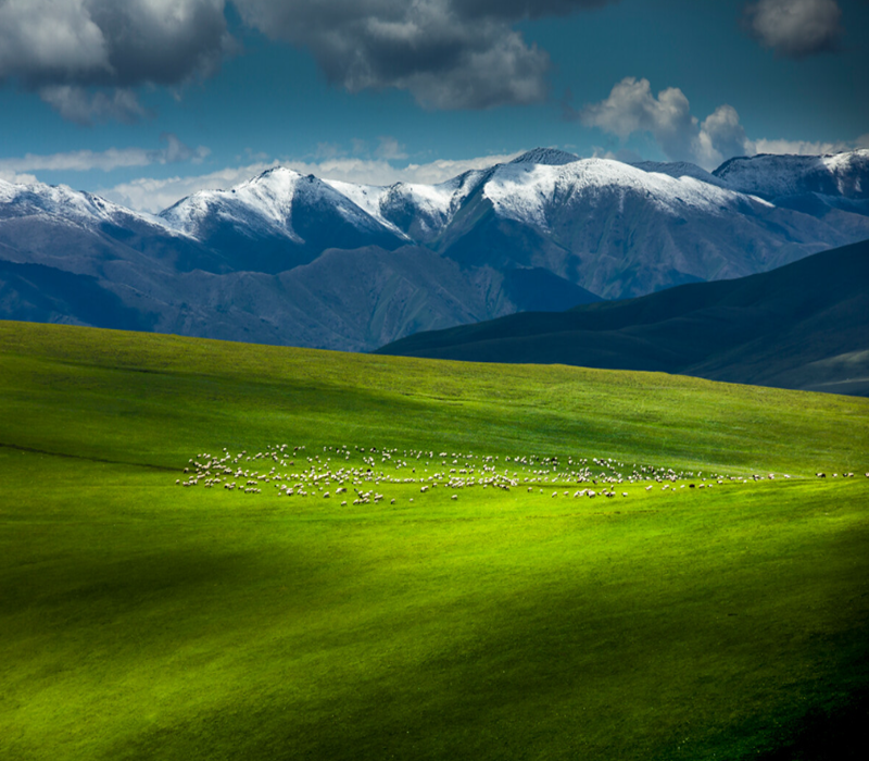 Yili area + Southern Xinjiang big ring line of the 25 days of deep tour